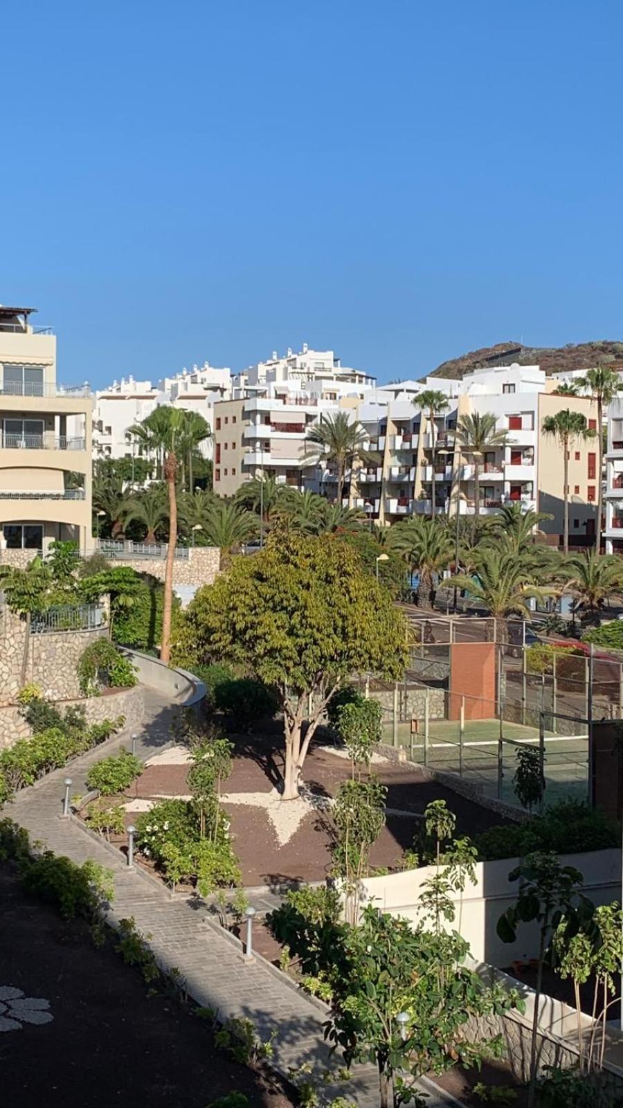 Apartamento Las Palmeritas Palm Mar Tenerife Sur Exterior foto