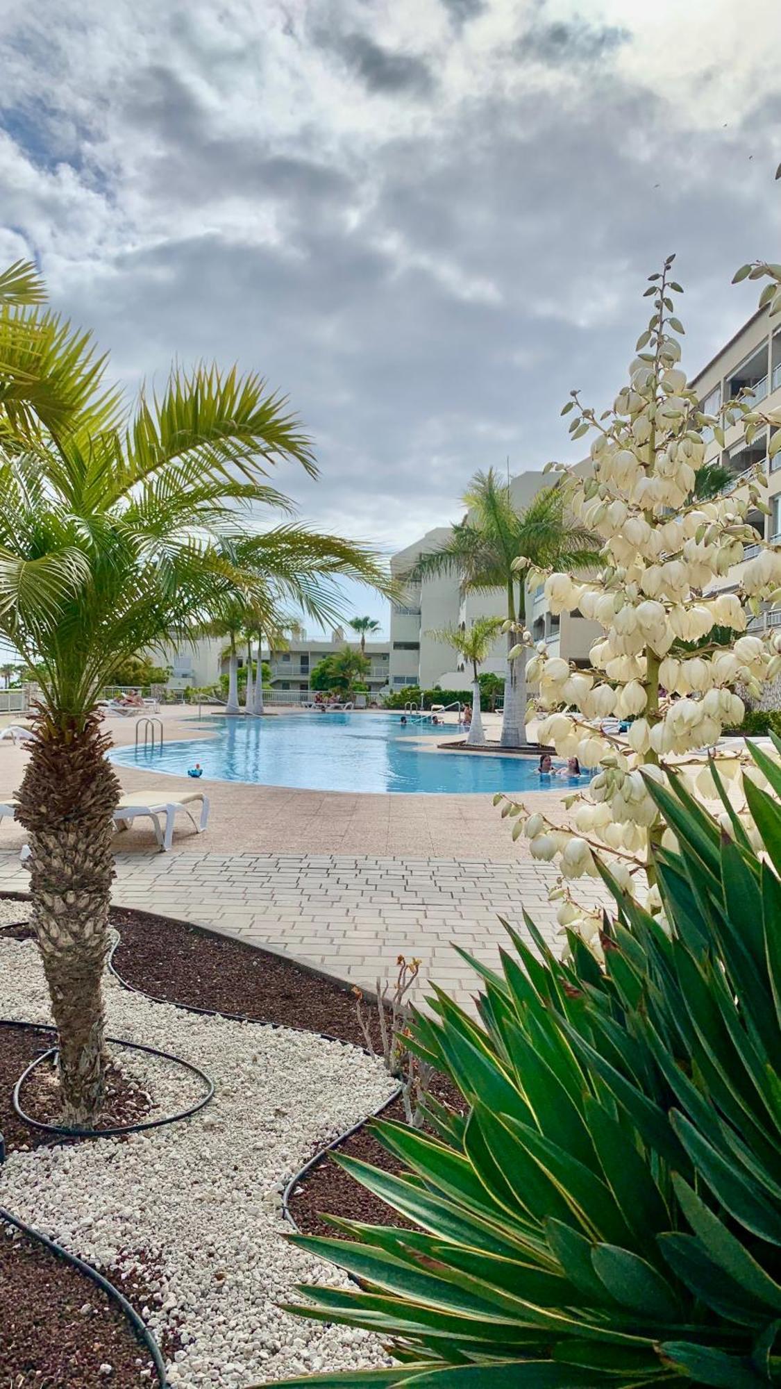 Apartamento Las Palmeritas Palm Mar Tenerife Sur Exterior foto