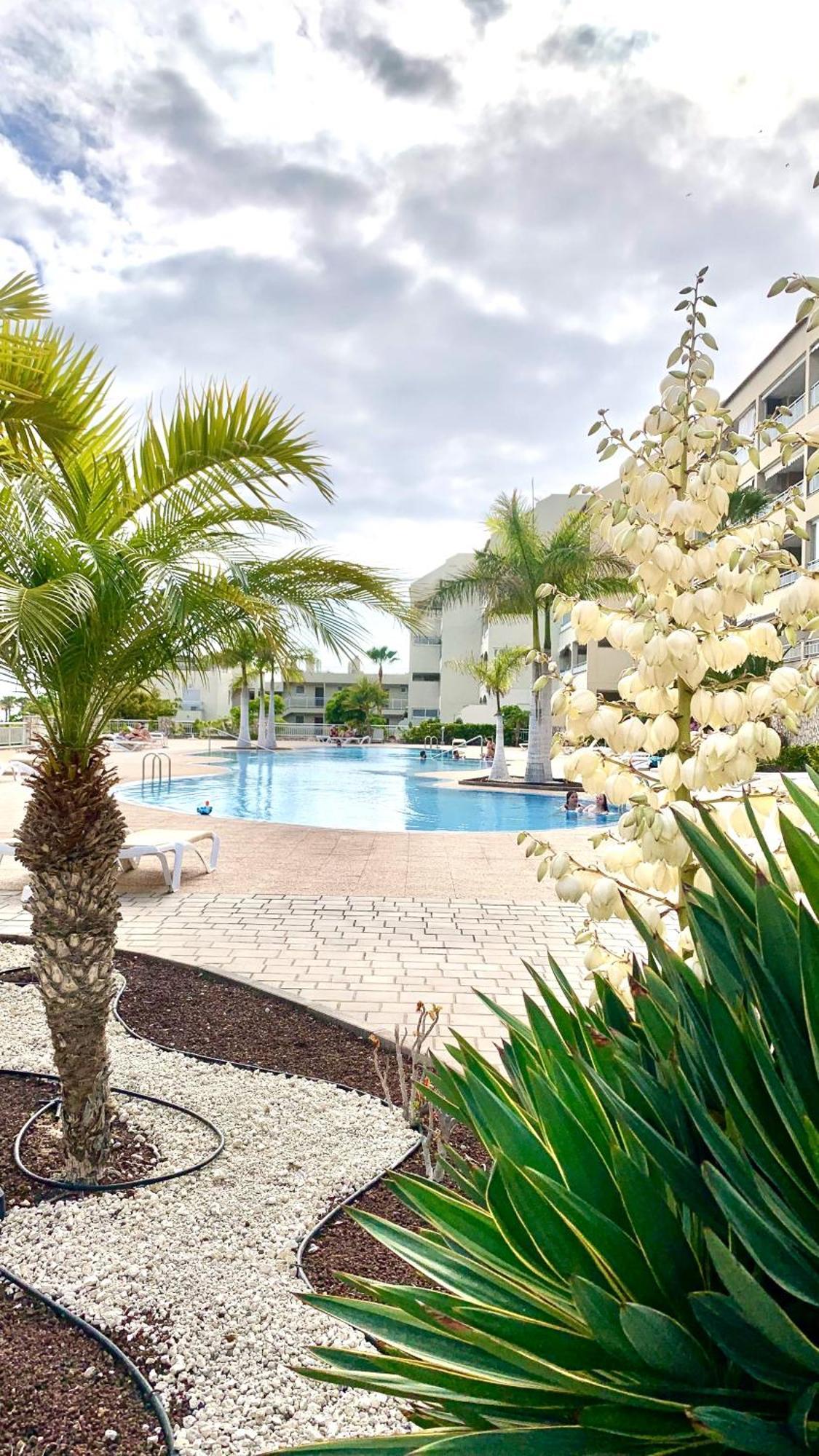 Apartamento Las Palmeritas Palm Mar Tenerife Sur Exterior foto